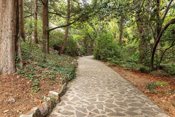 Stone Walkway Repair in Grand Haven