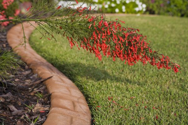 Brick Edging in Grand Haven