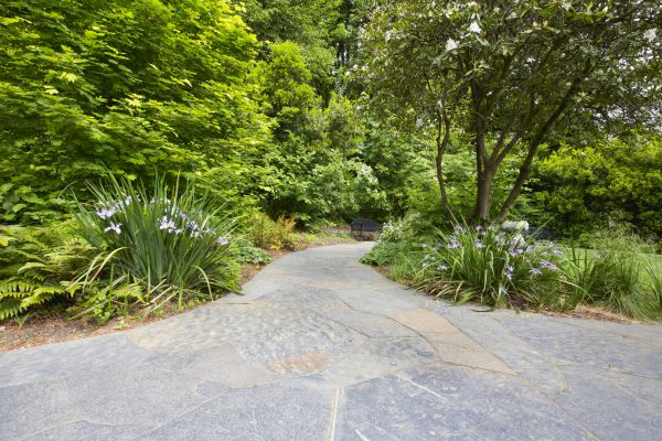 Stone Hardscape Service in Grand Haven